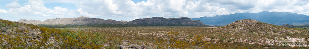 NM Pano