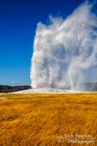 Old Faithful geyser eruption