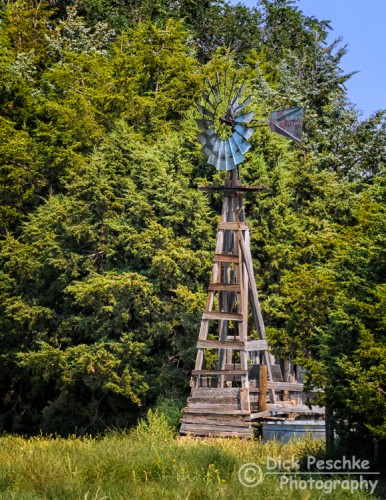 wooden windmill in a tree line