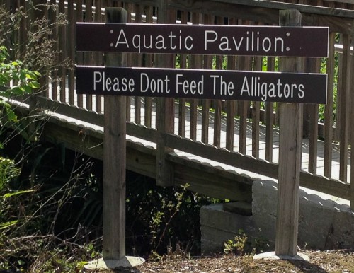 Don't feed alligator sign